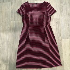 Talbots Pink and Black Fit and Flare Dress Zip Stripe Knee Length